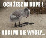 Awatar użytkownika